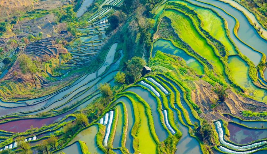 宝妈必备神器：大东区产品视频拍摄轻松育儿好帮手