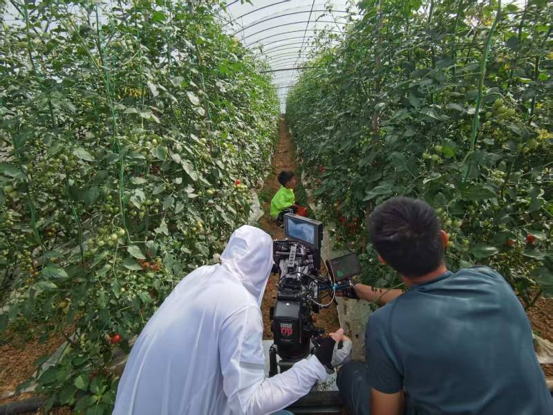 大东区产品宣传视频拍摄公司进阶指南，助力品牌抢占传播高地